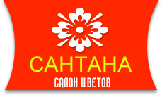 САНТАНА - салон цветов